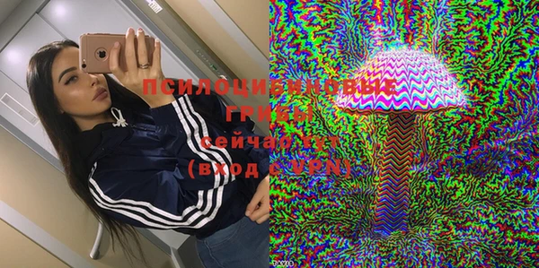 крисы Балабаново
