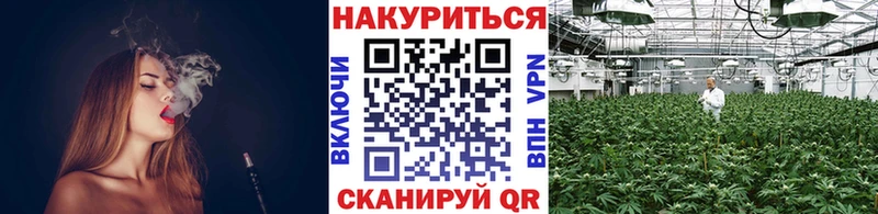 Канабис OG Kush  Новоузенск 